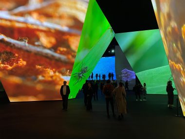 Projectie micro beelden op schermen