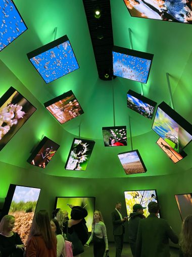 LED-schermen tijdens BBC Earth expositie