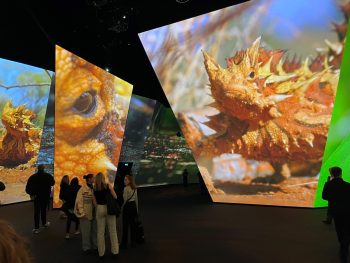 Projectie van natuurbeelden op schermen bij BBC Earth expositie