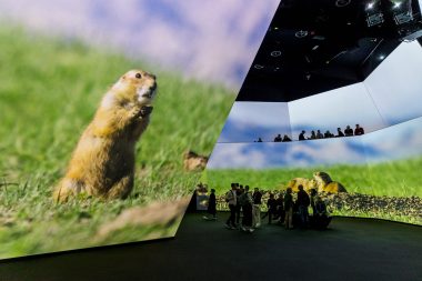 Tentoonstelling bestaande uit projectie van beelden