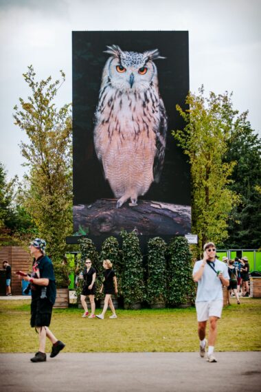 Artwork video screen